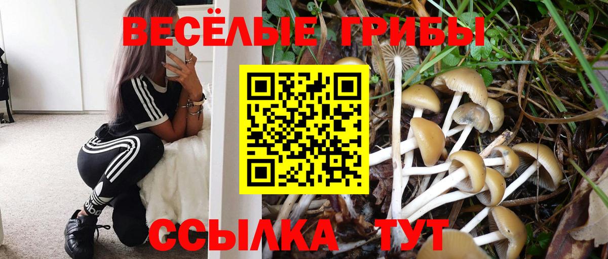 Алексеевка  Псилоцибиновые грибы мухоморы  Вход с VPN  Псилоцибиновые грибы GOLDEN TEACHER 